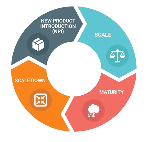 Circular graphic showing product lifecycle phases: New Product Introduction, Scale, Maturity, and Scale Down.